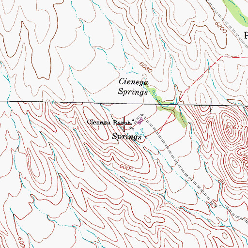 Topographic Map of Cienega Ranch, NM