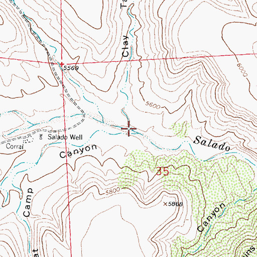 Topographic Map of Clay Tank Canyon, NM