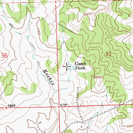 Topographic Map of Coach Tank, NM