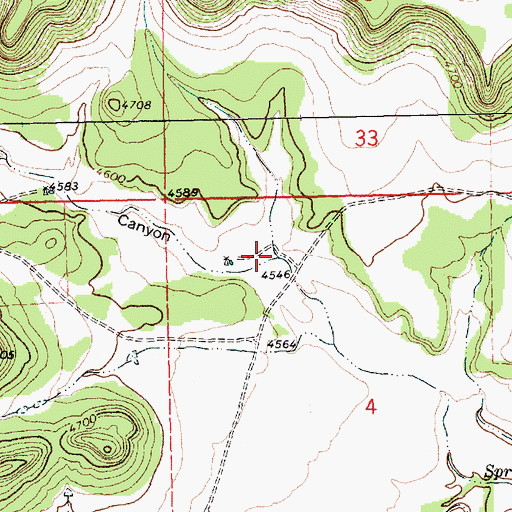 Topographic Map of Cochrane Canyon, NM