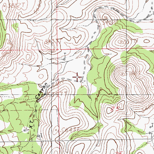 Topographic Map of Coe Ranch, NM