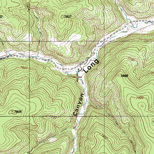 Topographic Map of Commissary Canyon, NM