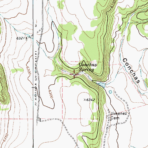 Topographic Map of Conchas Spring, NM