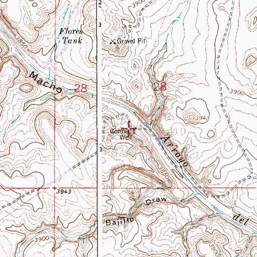 Topographic Map of Connell Well, NM