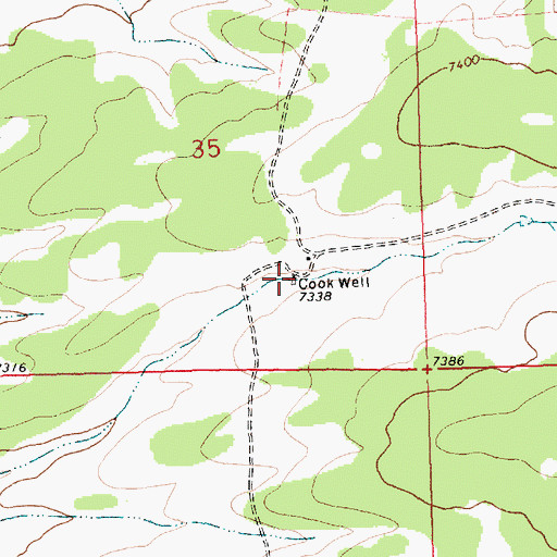 Topographic Map of Cook Well, NM