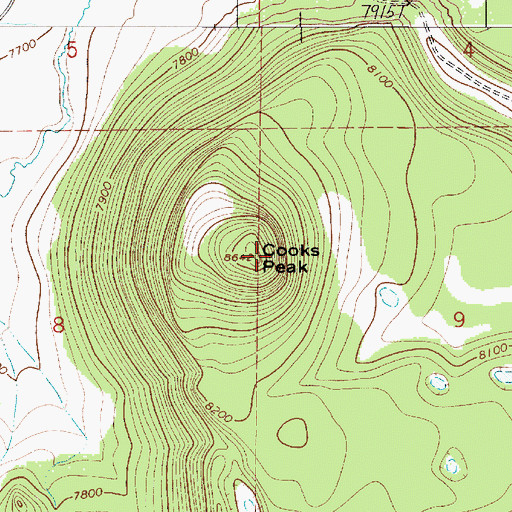 Topographic Map of Cooks Peak, NM