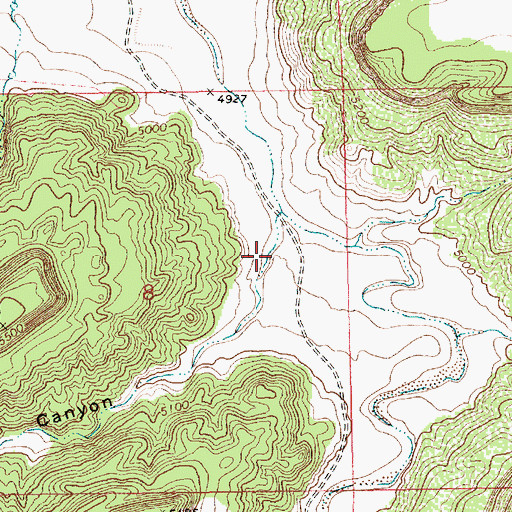 Topographic Map of Cooty Canyon, NM