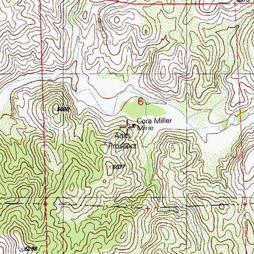 Topographic Map of Cora Miller Mine, NM