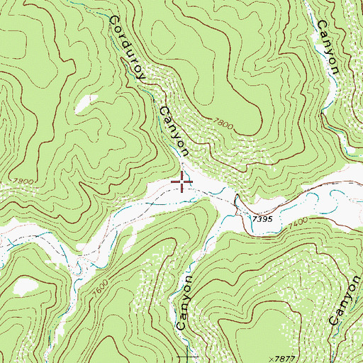 Topographic Map of Corduroy Canyon, NM