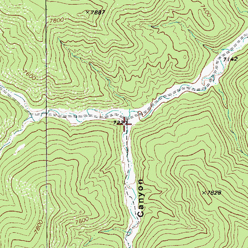 Topographic Map of Corral Canyon, NM