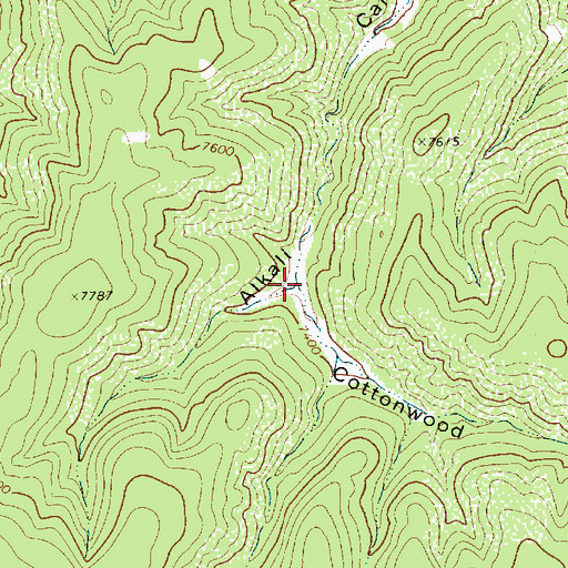 Topographic Map of Cottonwood Canyon, NM