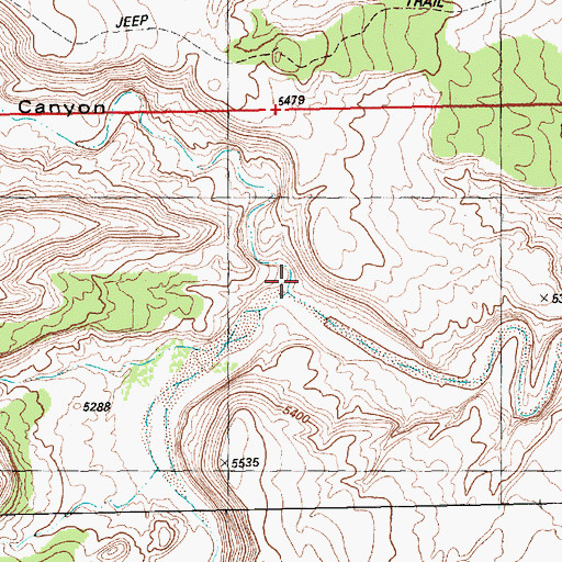 Topographic Map of Cottonwood Canyon, NM