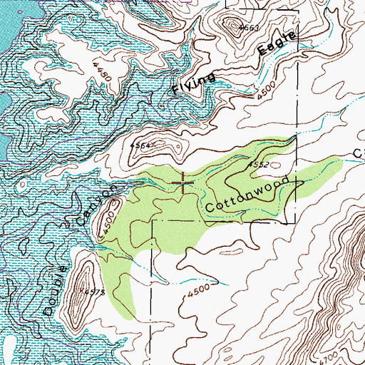 Topographic Map of Cottonwood Canyon, NM