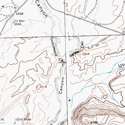 Topographic Map of Cottonwood Canyon, NM