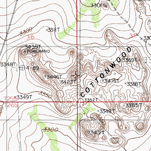 Topographic Map of Cottonwood Hills, NM