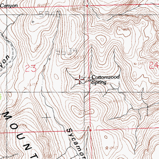 Topographic Map of Cottonwood Spring, NM