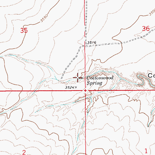 Topographic Map of Cottonwood Spring, NM
