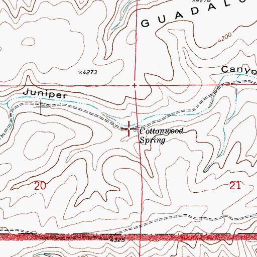 Topographic Map of Cottonwood Spring, NM