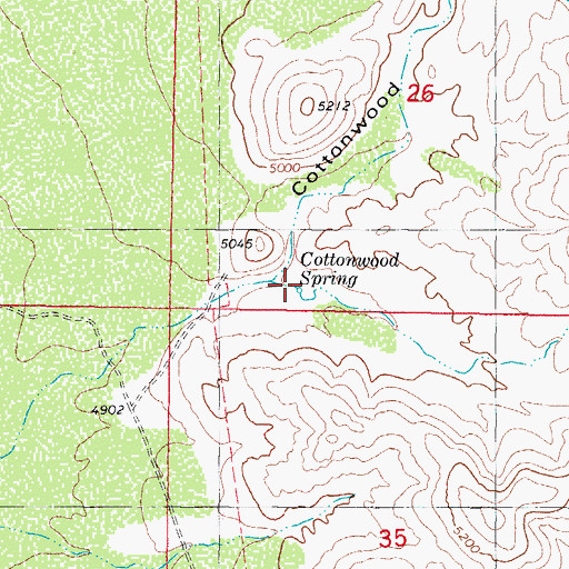 Topographic Map of Cottonwood Spring, NM