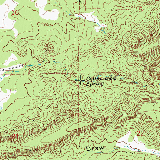 Topographic Map of Cottonwood Spring, NM
