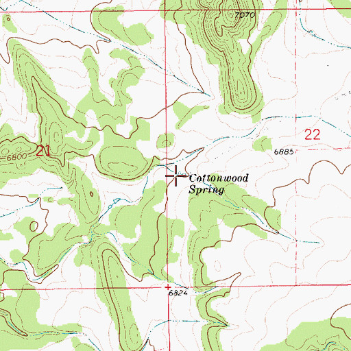 Topographic Map of Cottonwood Spring, NM