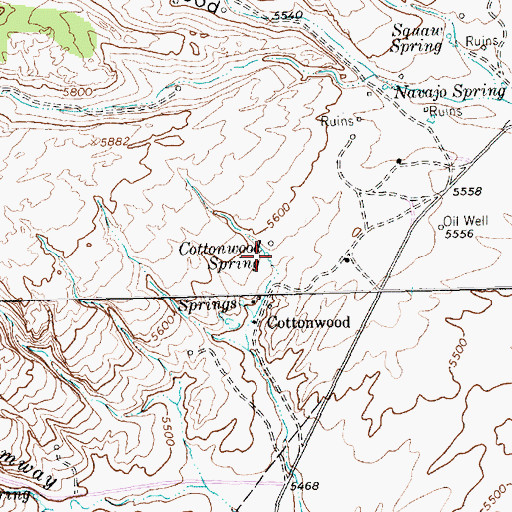 Topographic Map of Cottonwood Spring, NM