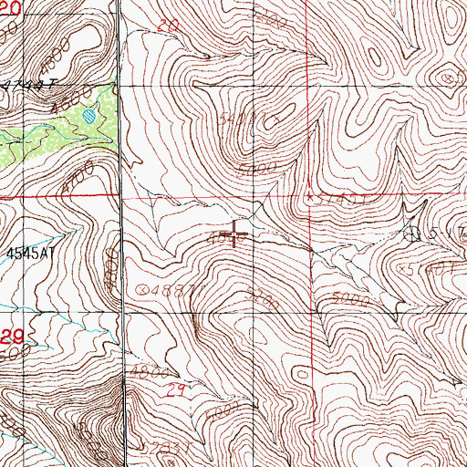 Topographic Map of Cottonwood Spring, NM