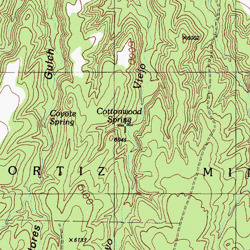 Topographic Map of Cottonwood Spring, NM