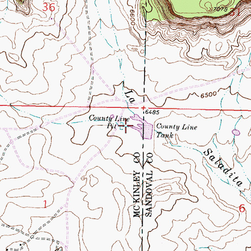 Topographic Map of County Line Pit, NM