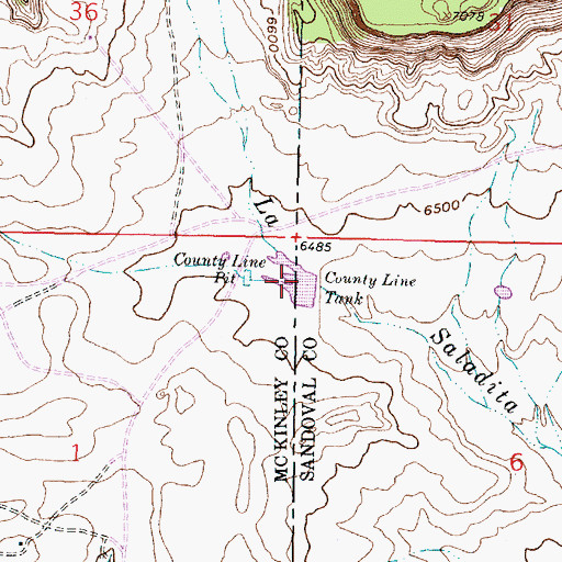 Topographic Map of County Line Tank, NM