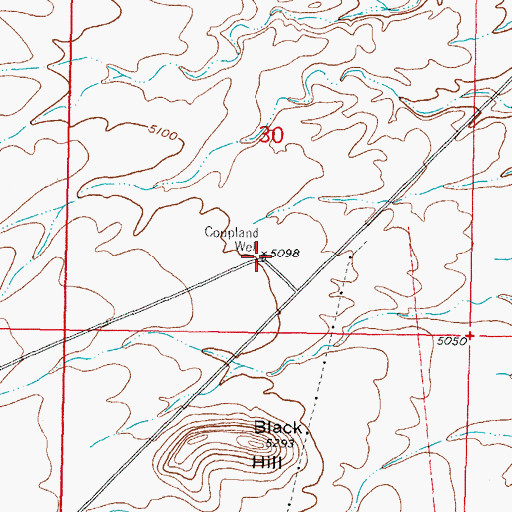 Topographic Map of Coupland Well, NM