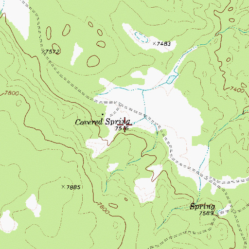 Topographic Map of Covered Spring, NM