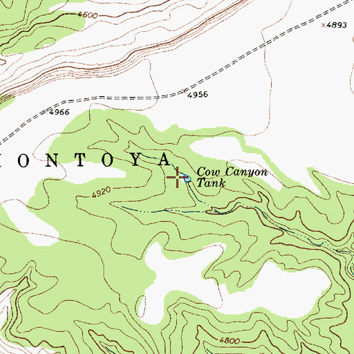 Topographic Map of Cow Canyon Tank, NM