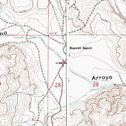 Topographic Map of Cowboy Draw, NM