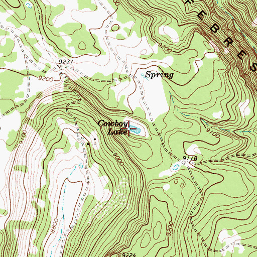 Topographic Map of Cowboy Lake, NM