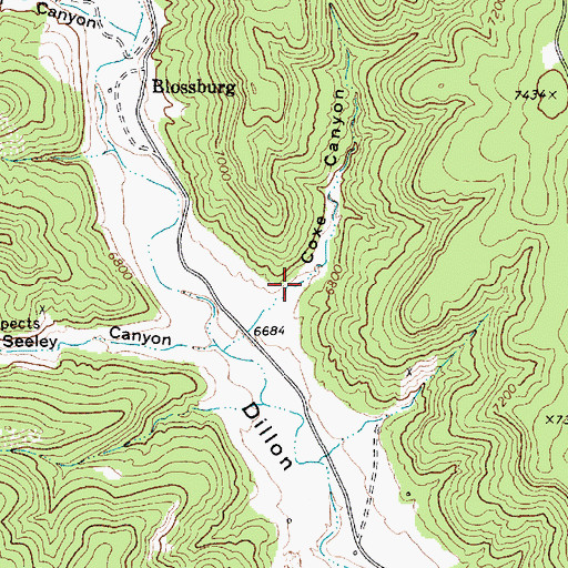 Topographic Map of Coxe Canyon, NM