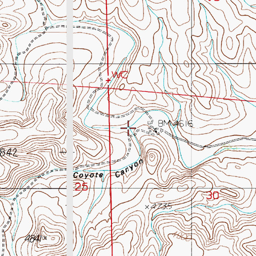 Topographic Map of Coyote Canyon, NM
