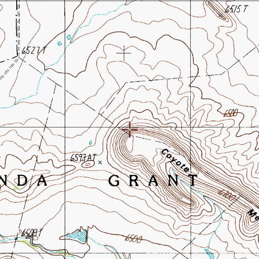 Topographic Map of Coyote Mesa, NM