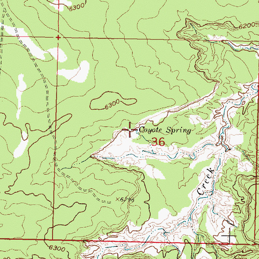 Topographic Map of Coyote Spring, NM