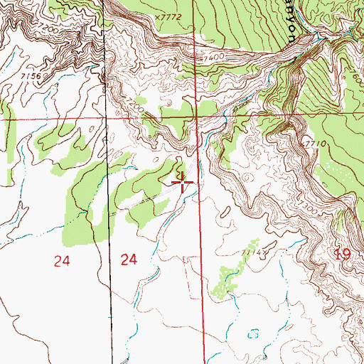 Topographic Map of Crazy Woman Canyon, NM