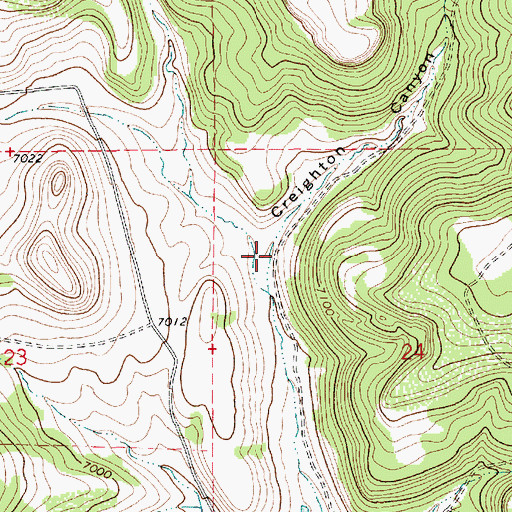 Topographic Map of Creighton Canyon, NM