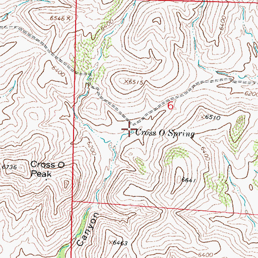 Topographic Map of Cross O Spring, NM