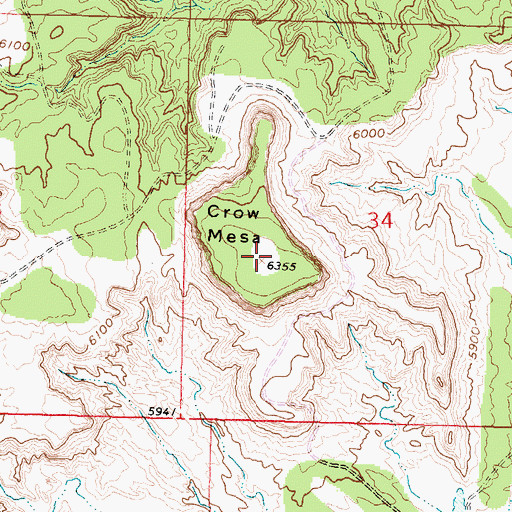 Topographic Map of Crow Mesa, NM