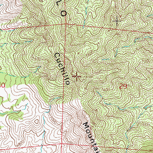 Topographic Map of Cuchillo Mountain, NM