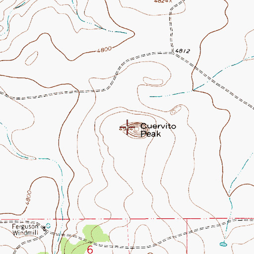 Topographic Map of Cuervito Peak, NM