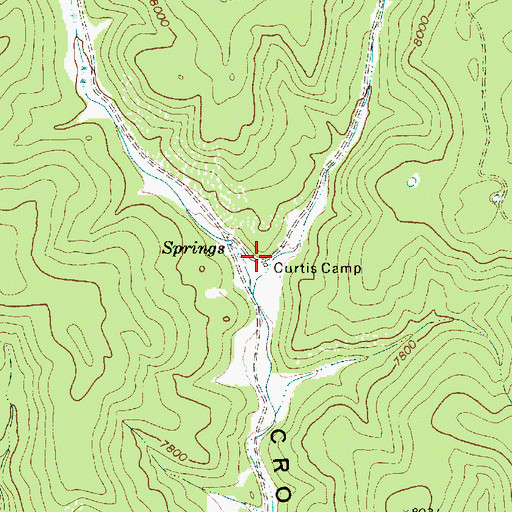 Topographic Map of Curtis Camp, NM