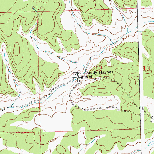 Topographic Map of Daddy Haynes Well, NM