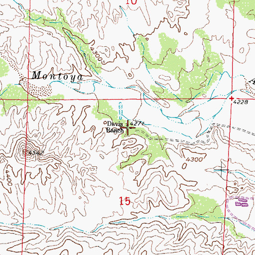 Topographic Map of Davis Ranch, NM