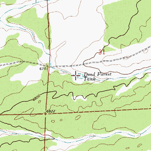 Topographic Map of Dead Forest Tank, NM