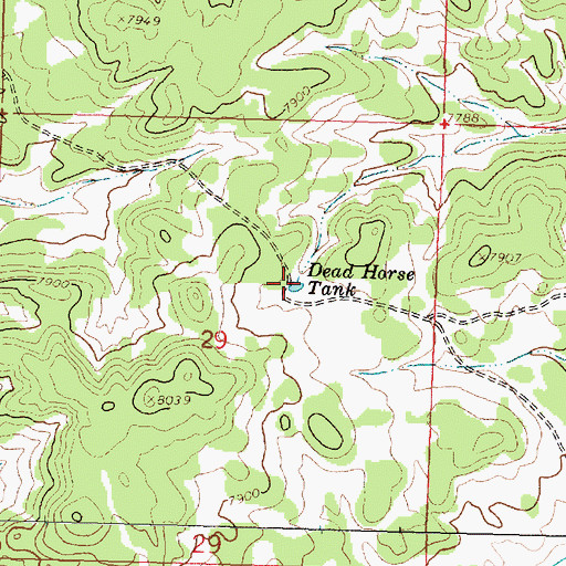 Topographic Map of Dead Horse Tank, NM